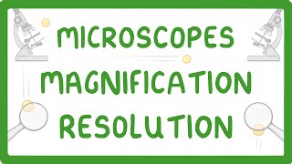 GCSE Biology  What is Microscopy 5 [upl. by Alyag]