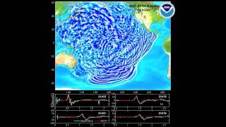 March 11 2011 Honshu Japan tsunami propagation [upl. by Ellebana]