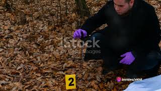 Unraveling Crime Scenes The Science of Forensics [upl. by Kassey]