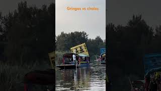 Gringos vs cholos [upl. by Grethel]