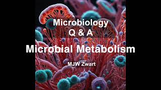 Microbiology QampA Microbial Metabolism [upl. by Dihaz]