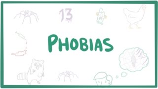 Phobias  specific phobias agoraphobia amp social phobia [upl. by Etnaed127]