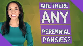 Are there any perennial pansies [upl. by Eicnarf615]