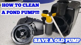 POND PUMPS HOW TO CLEAN amp SAVE A OLD PUMP [upl. by Nyrroc]