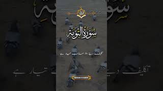 Surah tubaquran duet tafsir tafsir shay life [upl. by Malchy]