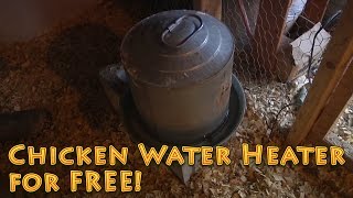 Chicken Water Heater  FREE  Backyard Chickens [upl. by Dex]