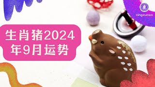 生肖猪9月2024年运势 属猪2024年9月运势详解生肖猪 2024年运势 9月运势 属猪运势 [upl. by Vaas]