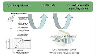 RealTime StatMiner qPCR data analysis software [upl. by Mohr]