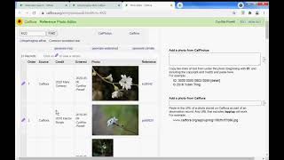 Editing reference photos on Calflora taxon report pages [upl. by Emmerich]