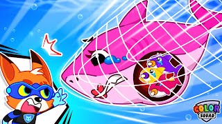 Rescue Mommy Shark and Baby Shark  More  Shark Family  Mommy Shark Stories  Color Squad Rescue [upl. by Nahs]