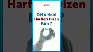 DNAdaki Harfleri Dizen Kim  My Rahle [upl. by Noiztneb]