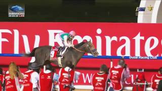 Dubai World Cup 2017  ARROGATE  All the details [upl. by Nemsaj]