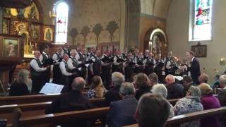 Männerchor NeukirchEgnach R Wagner Matrosenchor [upl. by Hoskinson]