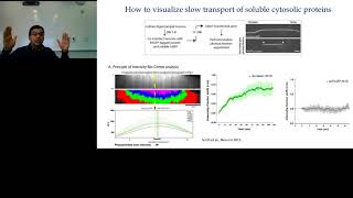 Decoding How Clathrin is Transported to Distal Synapses Along Axons [upl. by Seta79]