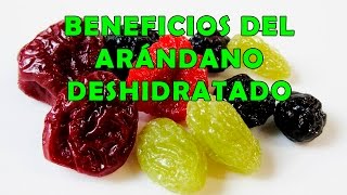 Arandano Deshidratado Beneficios para la Salud  Propiedades de los Arandanos Secos [upl. by Wsan]