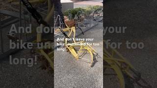 UCSB is a top national university and a bike friendly school travel ucsb bicycles [upl. by Naanac]