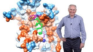 Tom Rapoport Harvard HHMI 1 Organelle Biosynthesis and Protein Sorting [upl. by Athena]