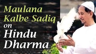 Maulana Kalbe Sadiq on Hindu Dharma at Art of Living Bangalore Ashram [upl. by Gewirtz]