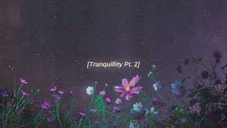 Tranquillity Pt 2 slowed  reverb [upl. by Wyn591]