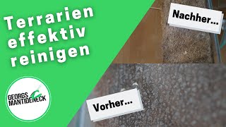 Terrarien effektiv reinigenKalk entfernenDesinfezieren [upl. by Lowenstein]