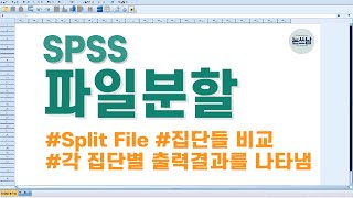 SPSS 파일분할Split File  집단별 출력결과를 나누어 보여주는 기능  이 기능 모르면 후회합니다  집단 분할 기능  논쓰남 [upl. by Nibas]