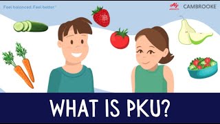 What is PKU Phenylketonuria [upl. by Haneekas616]