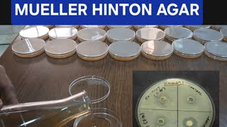 Mueller Hinton agar [upl. by Nylirac142]