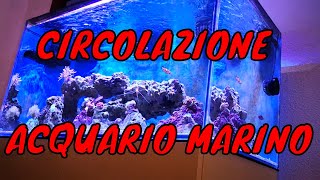 CIRCOLAZIONE ACQUARIO MARINO e Correnti di Acqua [upl. by Resarf]