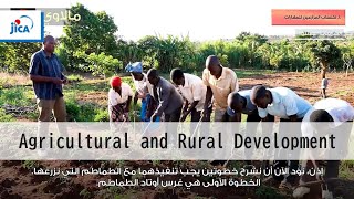 【Agricultural and Rural Development】The SHEP Approach Training PracticeArabic Full ver [upl. by Kumler71]