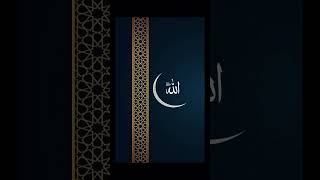 Allah Kareem islamicvideo trending [upl. by Ailedroc]