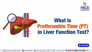 What is Prothrombin Time PT in Liver Function Test  lft liverfunctiontests [upl. by Eki197]