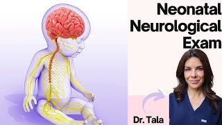 How to perform the NEURO exam on a baby HeadtoToe CNS evaluation [upl. by Aehsal]