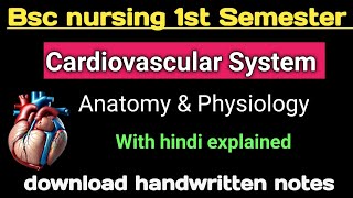 Cardiovascular system Anatomy and physiology bsc nursing 1st Semester [upl. by Dow]