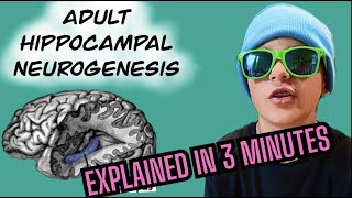 Adult Hippocampal Neurogenesis Explained in 3 Minutes [upl. by Constantin133]