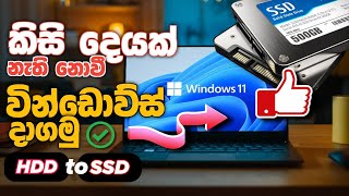 How to installmigrate windows without data loss  windows move to SSD  Sinhala [upl. by Letnom]