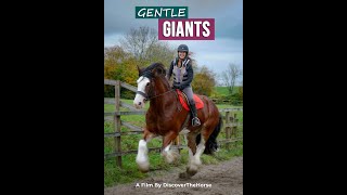 2022 EQUUS  Discover The Horse Gentle Giants  Trailer [upl. by Ecyle]