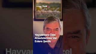 Hayvanlara Özel Atasözlerimiz Var Evlere Şenlik  Yılmaz Özdil [upl. by Enileve588]