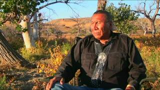 Chief Arvol Looking Horse Speaks of White Buffalo Prophecy [upl. by Yenffad]