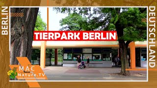 Tierpark Berlin [upl. by Jenine]