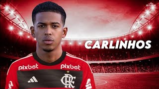 Carlinhos 2024  Bem Vindo ao Flamengo  Skills amp goals  HD [upl. by Sydel943]