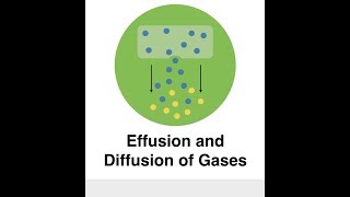 Effusion and Diffusion of Gases [upl. by Chimene]