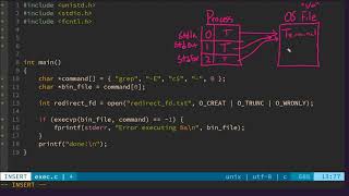 382  The dup2 System Call  A C tutorial for redirecting stdin and stdout using system calls [upl. by Eula448]