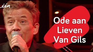 Bart Peeters ode aan Lieven [upl. by Terzas]