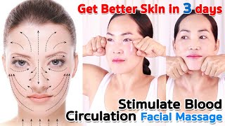 Facial Massage to Stimulate Blood Circulation get better skin in 3 days  NO TALKING  Antiaging [upl. by Roxane323]