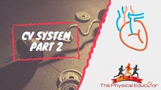 Physical Educ8or IB SEHS Cardiovascular System Part 2 [upl. by Reni]