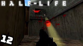 DRECKIGE GETARNTE SCHARFSCHÜTZEN und große EXPLOSIONEN 12  Half Life [upl. by Naltiak]