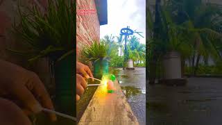 Experiment with egg 🥚 protein experiment egg protein viralvideo shorts [upl. by Ddene]