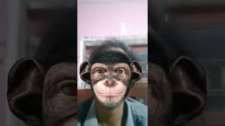 Funny monkey 🐒🐒🐵🐵🐵🐒youtubeshorts funny memefunny funniestmemes shorts [upl. by Neetsyrk517]