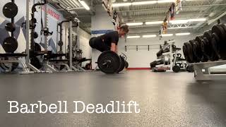 Barbell Deadlift [upl. by Noiram]