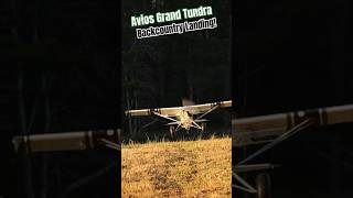 Avios Grand Tundra Bush Landing new aviation rcplane [upl. by Carmencita]